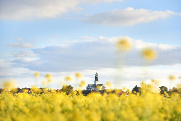 Panorama of the city of Krasnystaw over a field of yellow rapeseed.