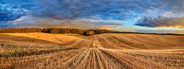 Panorama of a beautiful mowed field with straw bales illuminated by the setting sun with a colorful...