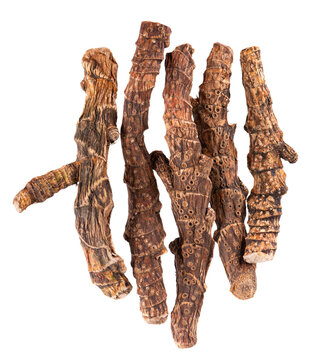 Calamus root isolated on white background. Sweet flag, sway or muskrat root, vasambu. Dry root of Acorus calamus. Top view.