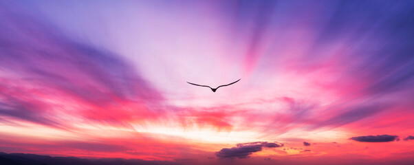 Sunset Bird Flying Divine Spiritual Inspirational Flight Beautiful Romantic Sky Banner Header Image