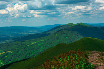 mountain peaks in the Bieszczady Mountains, pastures