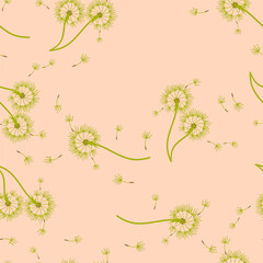 Dandelion background your design. Abstract floral seamless pattern.