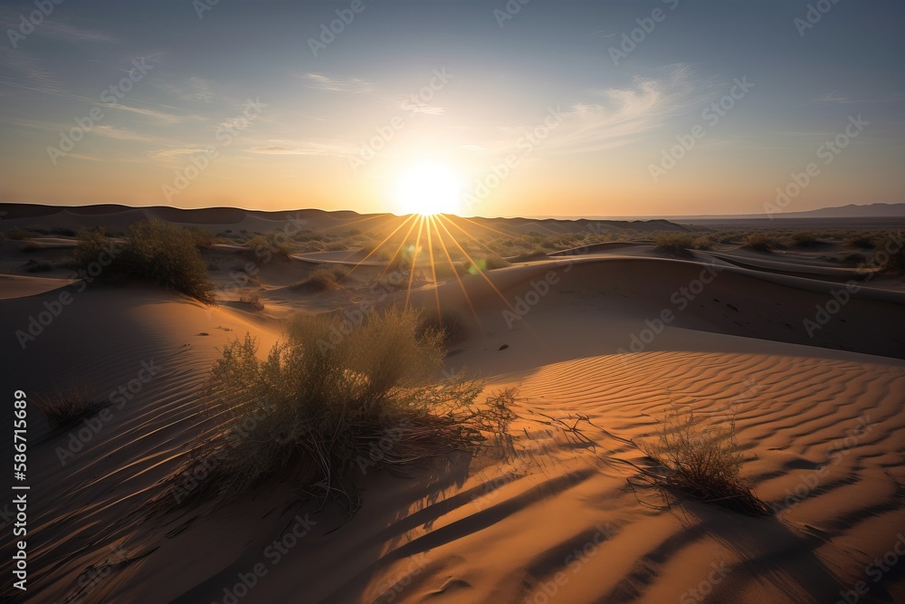Poster the sun is setting over a desert with sand dunes and grass in the foreground and a few bushes in the