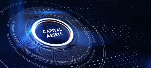 Business, Technology, Internet and network concept. Capital assets. 3d illustration