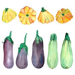 Eggplants and zucchini painted in watercolor isolated white background hand drawn