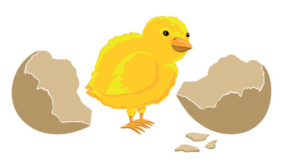 Wielkanocny żółty kurczaczek i skorupki rozbitego jajka. Symbole świąt wielkanocnych. Wielkanoc, jajko, kurczę. Świąteczny kurczaczek wykluty z jajka, ilustracja wektorowa.