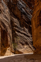 Petra, Jordan  The narrow canyons on the Siq trail