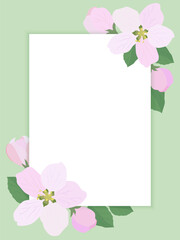Rectangle frame with apple blossoms and green leaves on a light green background. Vector illustration.