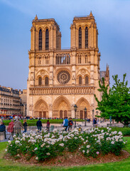 Fototapeta na wymiar Notre-Dame de Paris Cathedral in spring