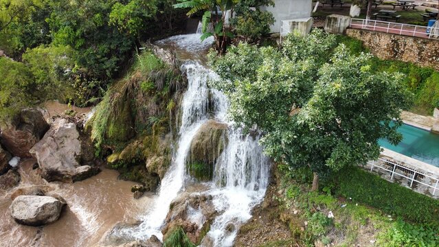 waterfall in the forest