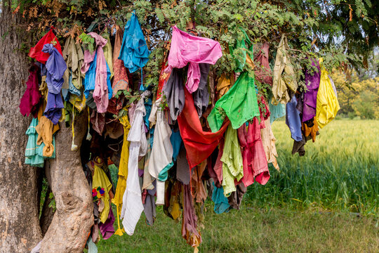 mass of colorful ribbons and cloths on a tree in india as culutre and religious reasons