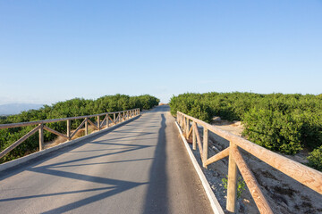 Fototapeta premium Vega Baja del Segura - Algorfa - Paisajes desde Algorfa de la huerta y sierras de Callosa y Orihuela