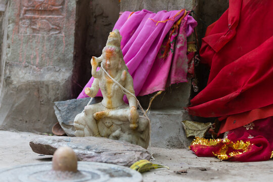 shrine of go goddess manasa
