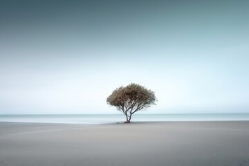  a lone tree on a deserted beach with a blue sky in the background and water in the foreground, with a lone tree in the foreground.  generative ai