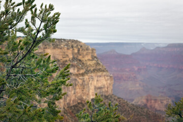 South Rim 8