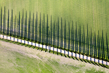 Aerial photographic documentation of the cypresses of the Val Di Orcia