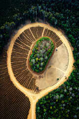 Aerial view of an area of deforestation, generative ai illustration 