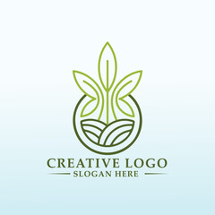 logo for growing Hemp plants, made for CBD products