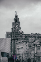 Fototapeta na wymiar old town hall, Liverpool