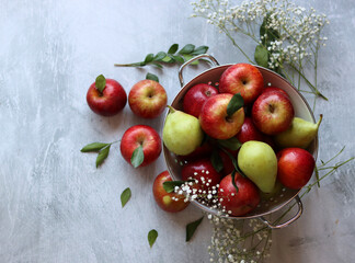 Naklejka na ściany i meble Harvest festival concept. Vibrant still life with red apples. 