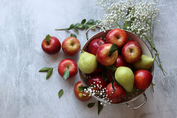 Organic pears and apples in a white metallic colander. Close up photo of seasonal fruit on a table. Colorful still life with apples and Gypsophila flowers.  Natural vitamins and antioxidants concept. 