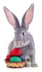 Easter bunny with colored eggs.