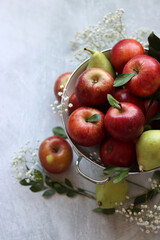 Organic pears and apples in a white metallic colander. Close up photo of seasonal fruit on a table. Colorful still life with apples and Gypsophila flowers.  Natural vitamins and antioxidants concept. 