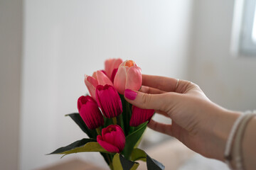 Close up photo of woman's hand holding a pink tulips in vase, flower decoration in home.