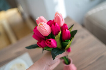 Close up photo of woman's hand holding a pink tulips in vase, flower decoration in home.