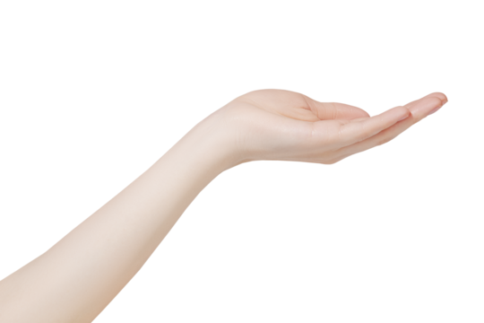 Hand of young woman with flat palm presenting product, offer and giving gesture, blank copy space on transparent background