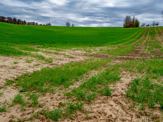 Feuchter Ackerboden nach vielem Regen