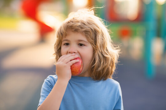 Child With Apple Outdoor. Kid Picking Apples. Children Healthy Food Nutrition. Kid Biting Fresh Apple In Summer Park.