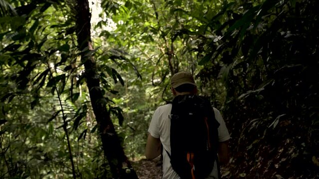 Un homme fait une Randonn&eacute;e dans la for&ecirc;t tropicale