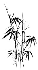 Black and white illustration of bamboo. Isolated illustration of a bamboo branch with leaves. The plant is a symbol of Asian countries.