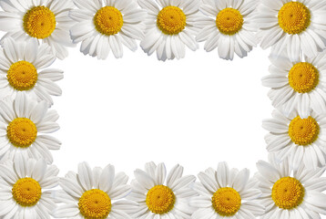 Fototapeta na wymiar Frame of White Daisy Flower on white paper decorations top view with Copy space.