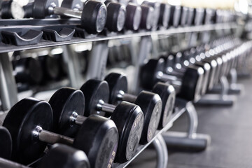 Fototapeta na wymiar Rows of dumbbells for free weight training on rack in gym, closeup view with selective focus. Modern sports equipment for for beginners and professional athletes