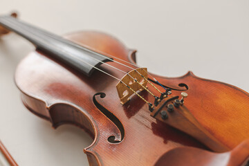 Beautiful Violin Closeup on White Background, Classical, Bluegrass, or Celtic Instrument with Detail