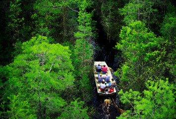 Okefenokee National Wildlife Refuge in the state of Georgia, USA. Tour boat ride into forest growing from the black swamp water - obrazy, fototapety, plakaty