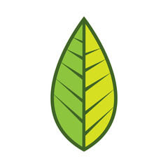 leaf logo