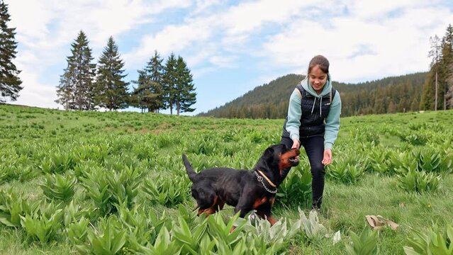 Girl is playing with dog-Rottweiler in grassy green meadow against the backdrop of trees and hills