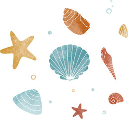 Seashells hand drawn illustration. Sea elements hand drawn illustration - obrazy, fototapety, plakaty