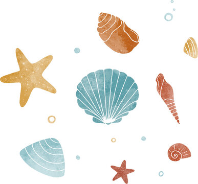 Seashells hand drawn illustration. Sea elements hand drawn illustration