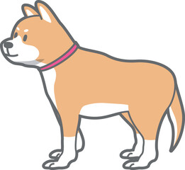 遠くを見つめる柴犬のベクターイラスト