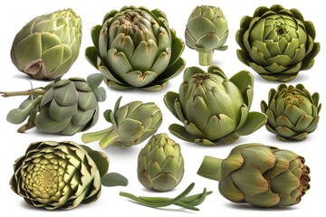 Obraz premium artichokes on a white background