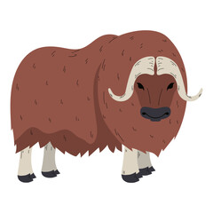 Woolly ox design