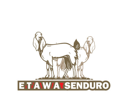 ETAWA SENDURO, BOER GOAT BREEDS LOGO, silhouette of great dairy ram standing vector illustrations