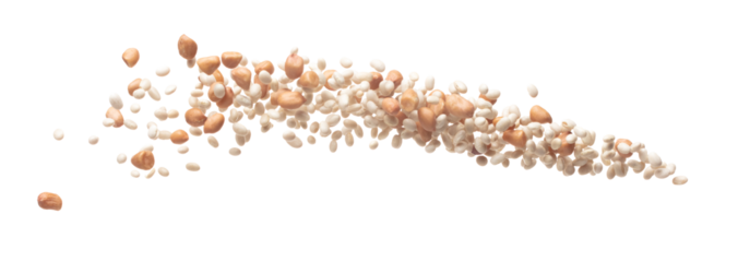 Mix white peanut beans fall down explosion, several kind bean float explode, abstract cloud fly. Dried white peanut mixed beans splash throwing in Air. White background Isolated high speed shutter