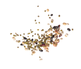 Mix beans fall down explosion, several kind bean float explode. Dried mixed white green red soy black peanut beans splash throwing in Air. White background Isolated high speed shutter, freeze