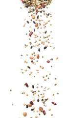 Mix beans fall down explosion, several kind bean float explode, pouring down. Dried mixed white green red soy black peanut beans splash throwing in Air. White background Isolated high speed shutter