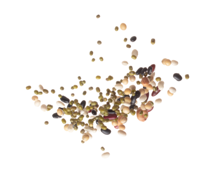 Mix beans fall down explosion, several kind bean float explode. Dried mixed white green red soy black peanut beans splash throwing in Air. White background Isolated high speed shutter, freeze
